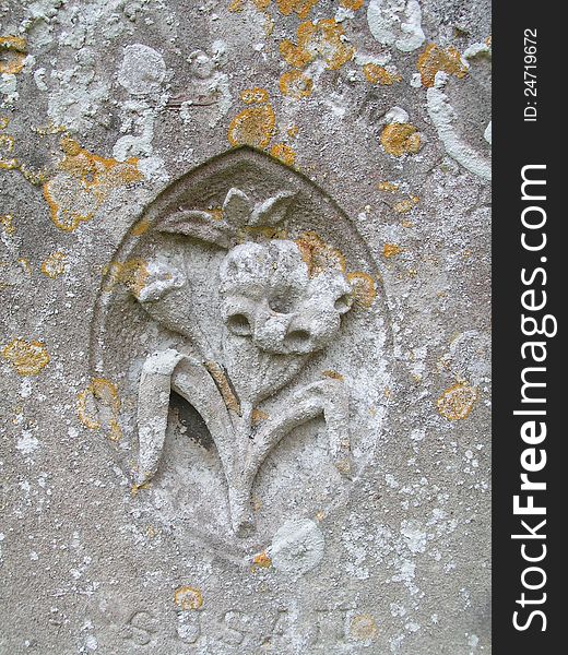 Close up of lichen on gravestone. Close up of lichen on gravestone