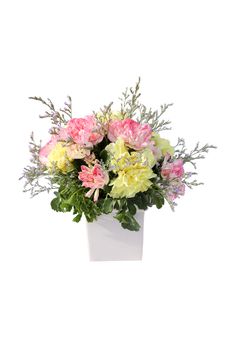 Fresh Flower  Pot Royalty Free Stock Photography