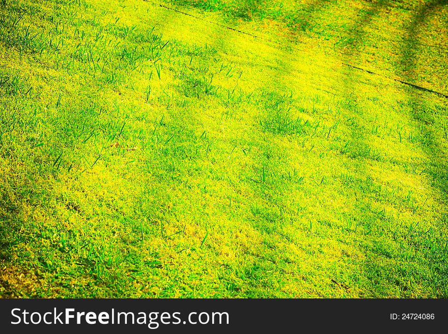 The shadow it is amazing sign on the yard. The shadow it is amazing sign on the yard