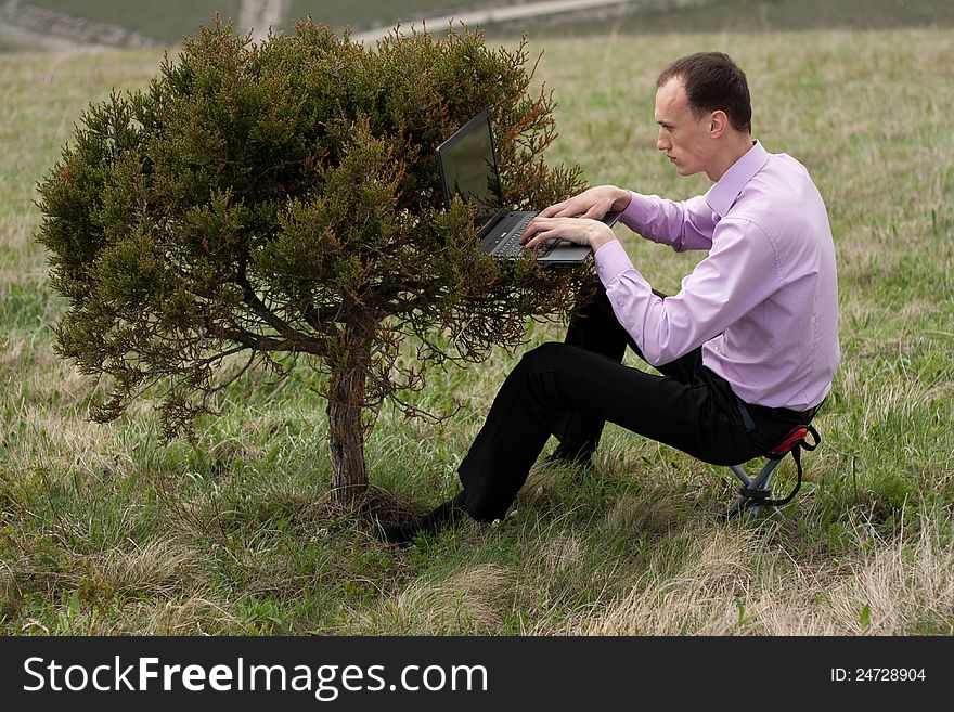 Man With Computer On Tree