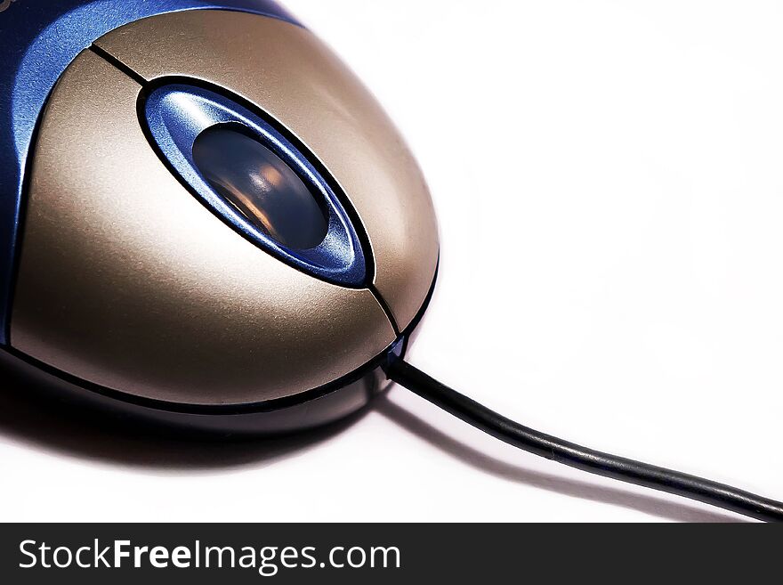 Common computer mouse with scroll wheel isolated on a white background