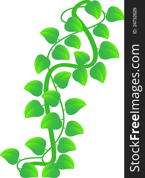 Stock Illustration - a branch of tropical lianas