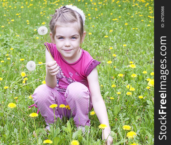 Little beautiful girl in a field of dandelions. Little beautiful girl in a field of dandelions