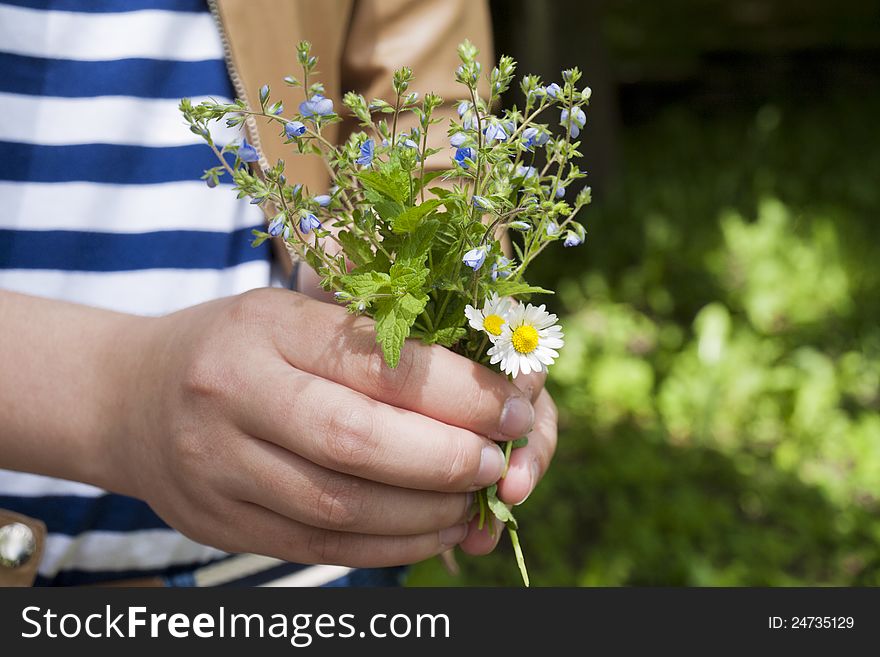 A child's hand holding wildflowers