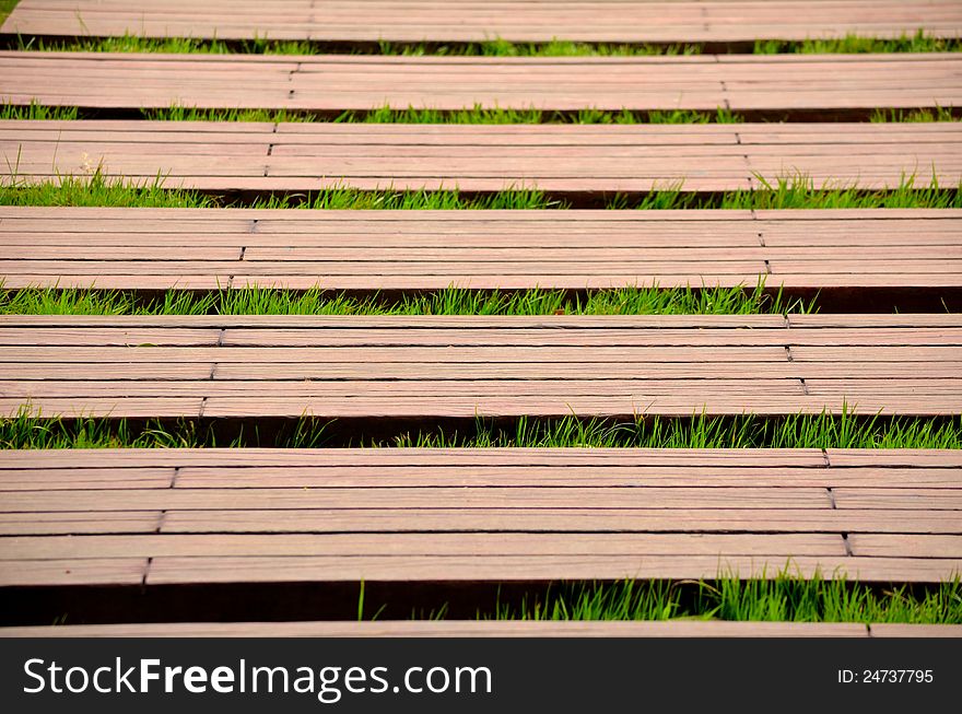 Boardwalk and grass