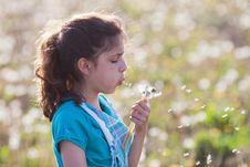 Pretty Young Girl Blows At Dandelion Blossom Stock Images Pretty Young Girl Blows At Dandelion Blossom Stock Images