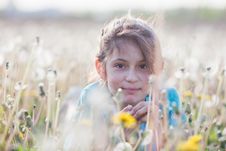 Beautiful Girl In A Dandelion Meadow Stock Photography Beautiful Girl In A Dandelion Meadow Stock Photography