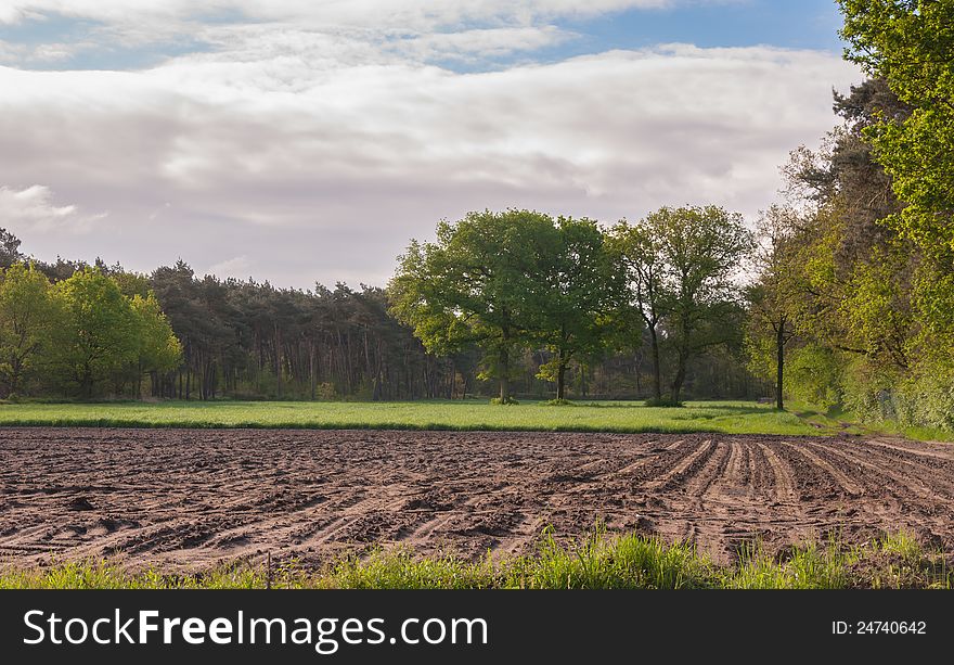 Dutch landscape with a cultivated field, grass and trees. Dutch landscape with a cultivated field, grass and trees.