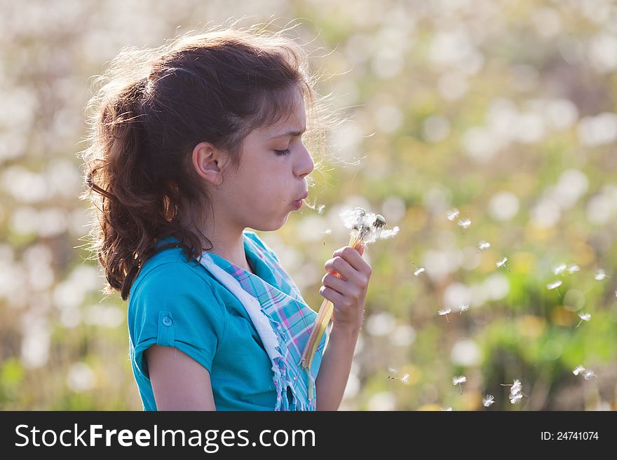 Pretty young girl blows at dandelion blossom, that the seeds fly