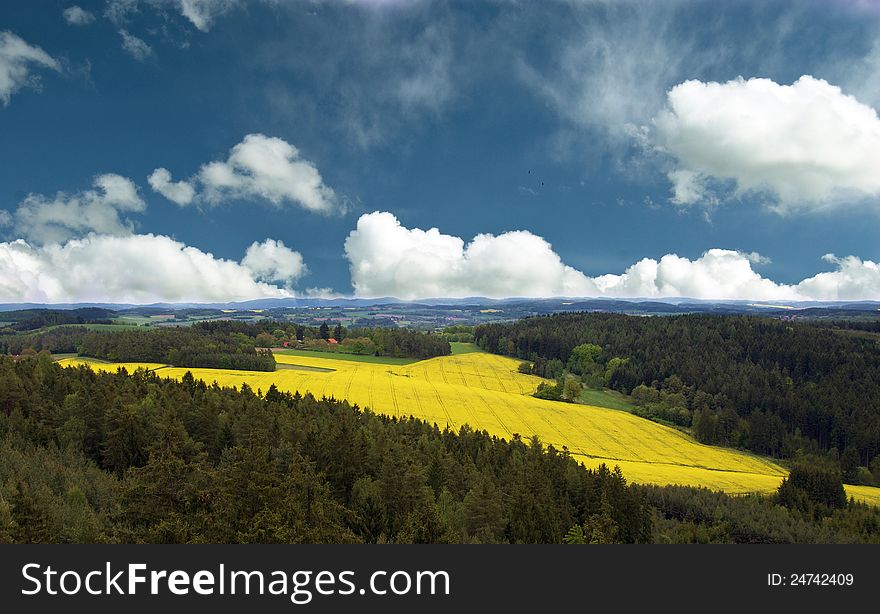 Spring fields and sky with clouds