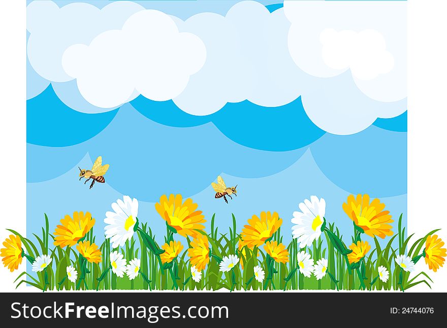 Summer meadow in sunny flowering fields