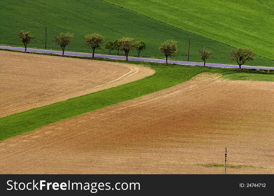 Spring landscape - fields and meadows