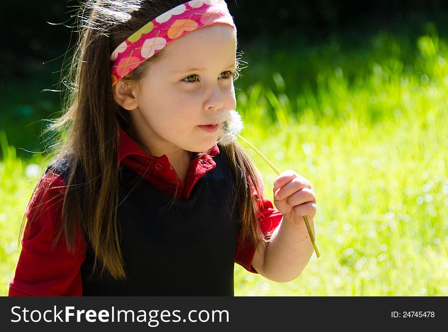 Close-up of a pretty little Caucasian girl with brown hair in a sunny meadow blowing the seeds from a dandelion weed. Close-up of a pretty little Caucasian girl with brown hair in a sunny meadow blowing the seeds from a dandelion weed