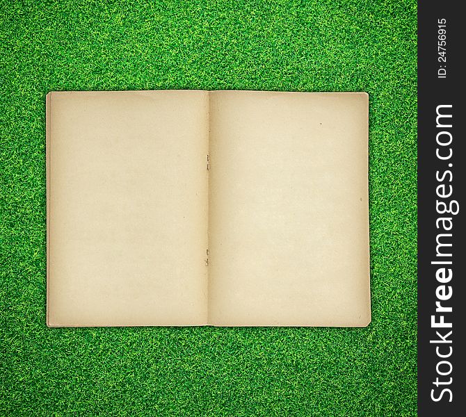 Old book open on green grass background