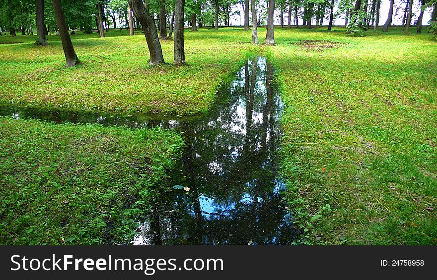 Streams in the park