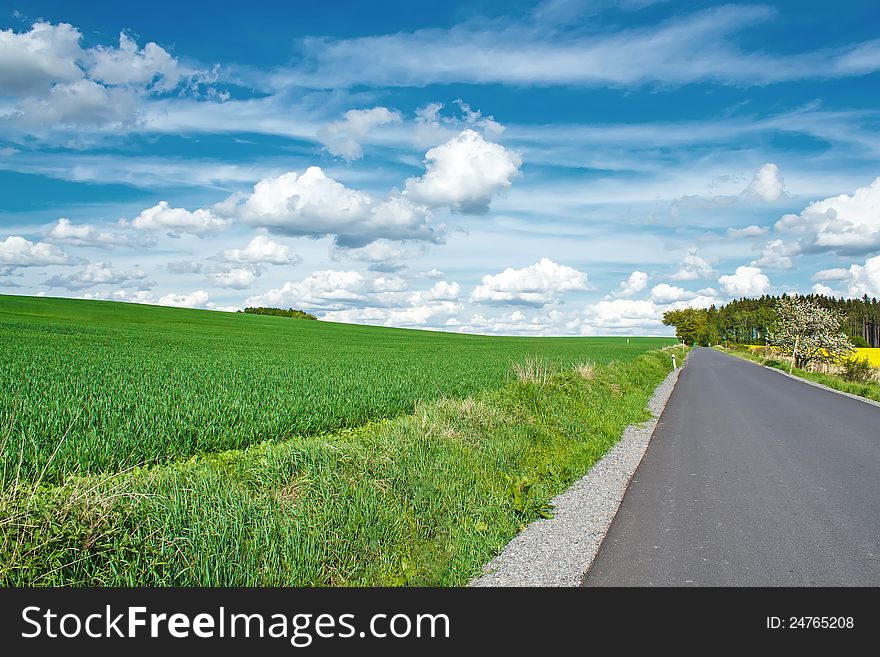 Beautiful summer rural landscape with road