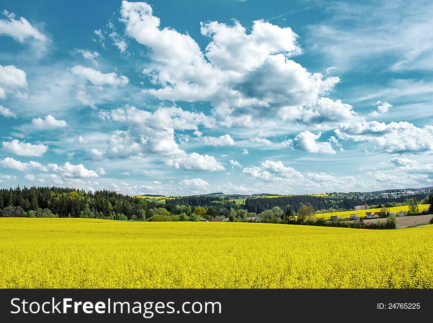 Beautiful summer rural landscape with field and blue sky