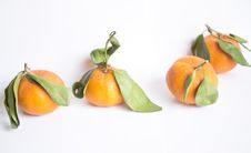 Tangerines Stock Photography Tangerines Stock Photography