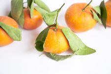 Tangerines Royalty Free Stock Image Tangerines Royalty Free Stock Image