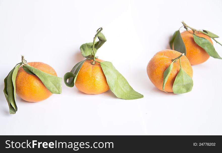 Tangerines natural on white background