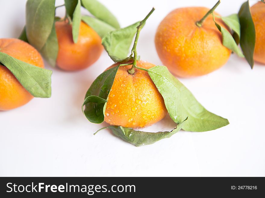 Tangerines natural on white background