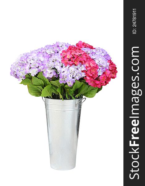 Fresh flower pot on white background. Fresh flower pot on white background.