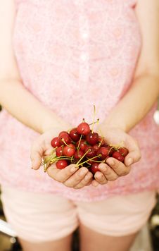 Cherries Stock Images Cherries Stock Images