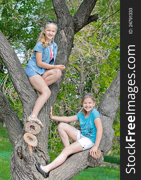 Two young beautiful girls on a tree. Two young beautiful girls on a tree