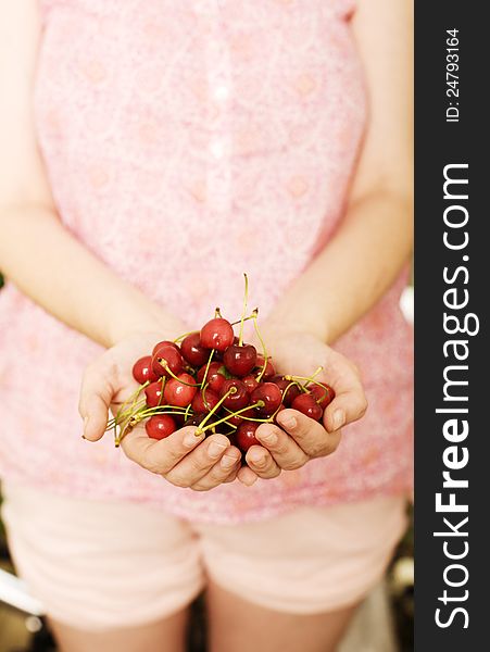 Hands holding a bunch of fresh cherries