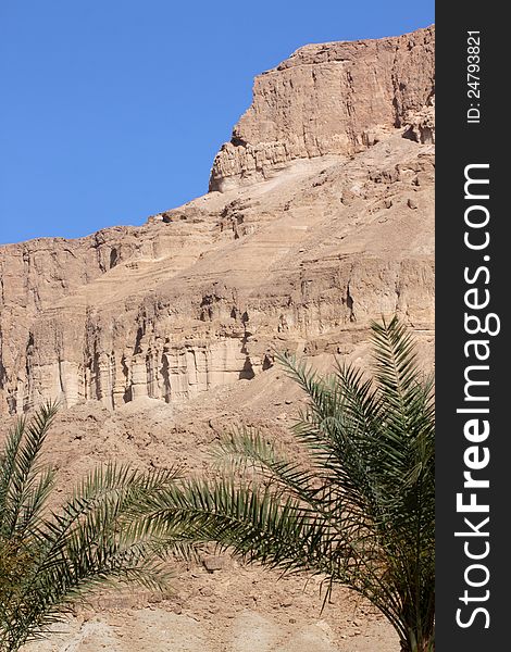 Desert mountain with palm trees negev desert isreal. Desert mountain with palm trees negev desert isreal