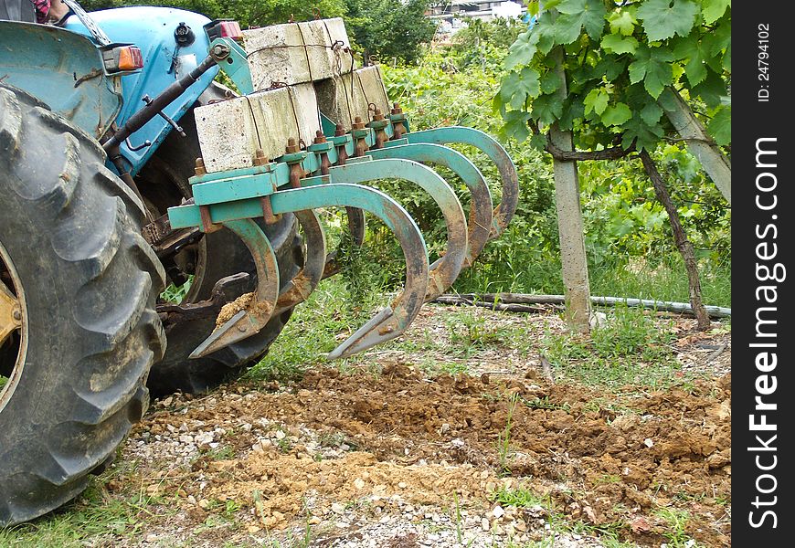 Cyan tractor plowing in an orchard. Cyan tractor plowing in an orchard