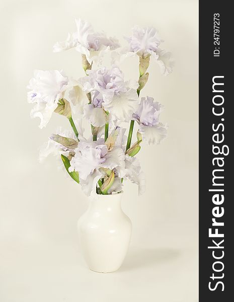 Bouquet of irises in a white vase.