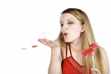 Blowing Petals Stock Photos Blowing Petals Stock Photos
