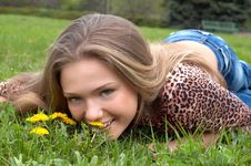 Pretty Girl And Dandelion Stock Images Pretty Girl And Dandelion Stock Images