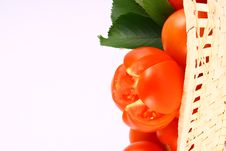 Tomato Stock Image Tomato Stock Image
