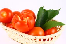 Tomato Royalty Free Stock Photo Tomato Royalty Free Stock Photo