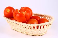 Tomato Stock Photography Tomato Stock Photography