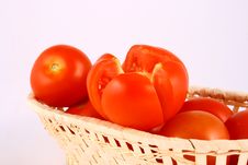 Tomato Royalty Free Stock Photography Tomato Royalty Free Stock Photography