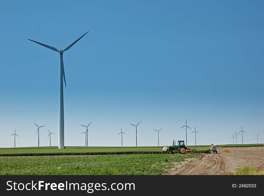 Wind Turbines in wheat field