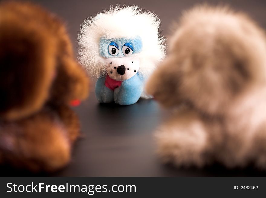 Toys: two dogs and lion on a table, (studio, halogen light). Toys: two dogs and lion on a table, (studio, halogen light).