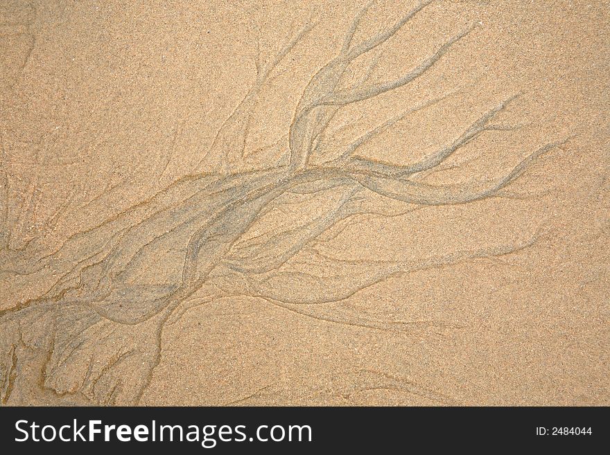 Seaweed pattern in the granular sand