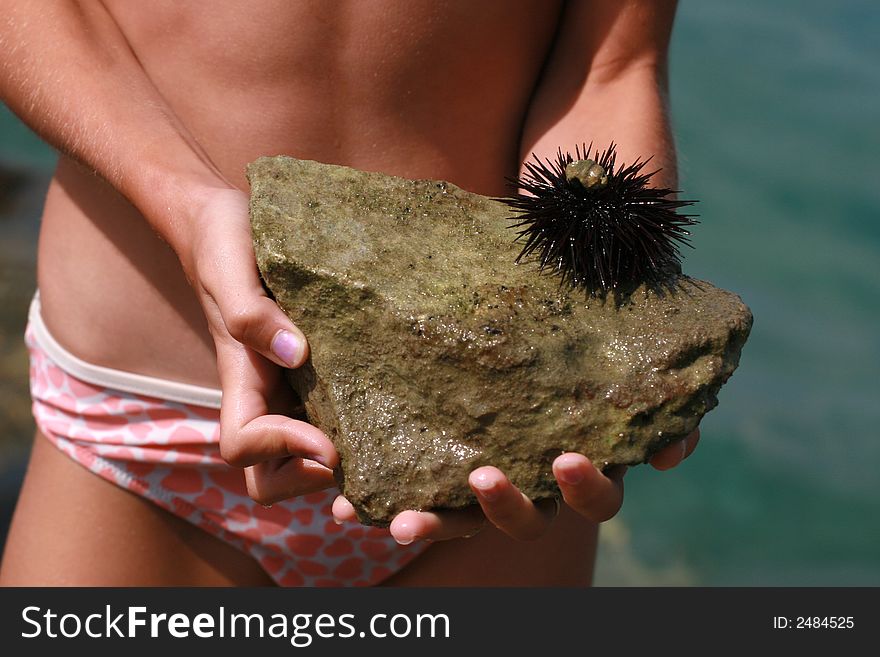 Hirl holding a sea hedgehog on a rock