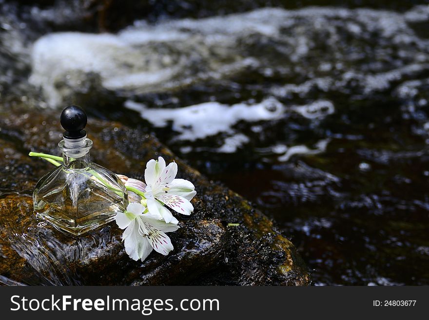 A bottle of oil into the creek and a lilly at the side. A bottle of oil into the creek and a lilly at the side.