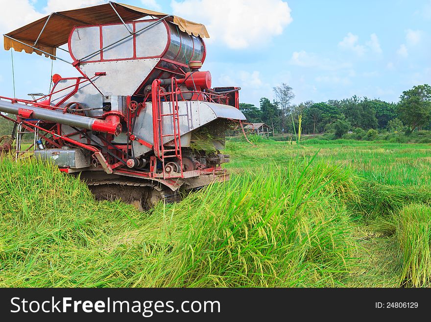 Harvester tractor working a rice field. Harvester tractor working a rice field