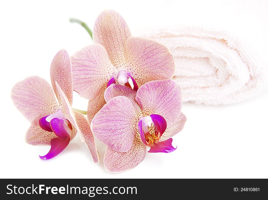 Spa theme with orchids and towel on a white background. Spa theme with orchids and towel on a white background