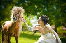 Bride And Ponies In Park Royalty Free Stock Image Bride And Ponies In Park Royalty Free Stock Image
