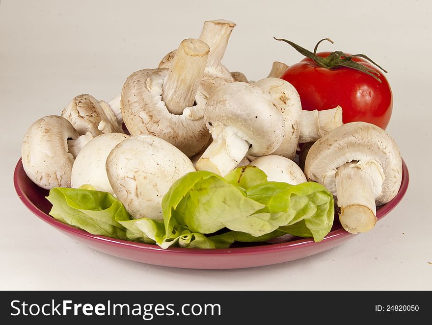 Fresh mushrooms and a tomato on red plate  on gray background