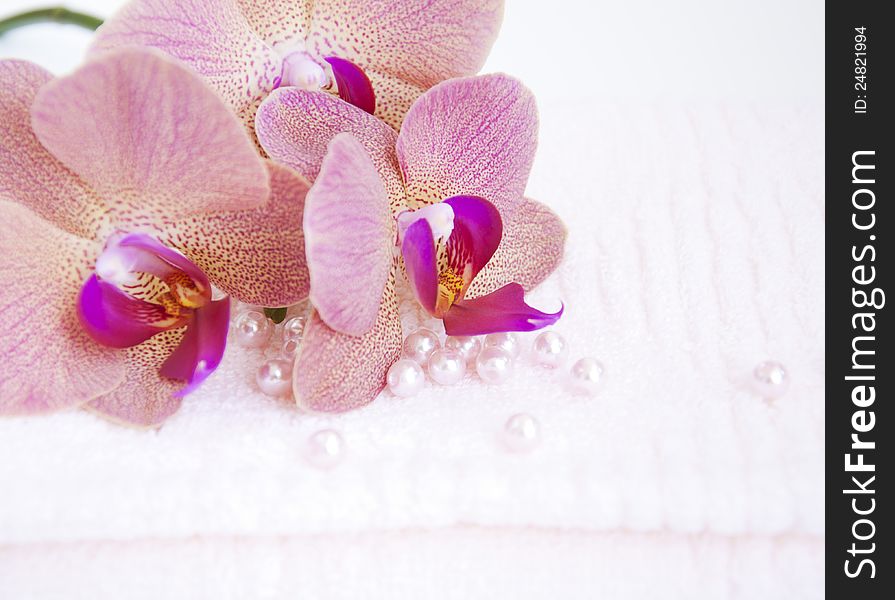 Orchids flowers and beads on  a pink  Towel. Orchids flowers and beads on  a pink  Towel