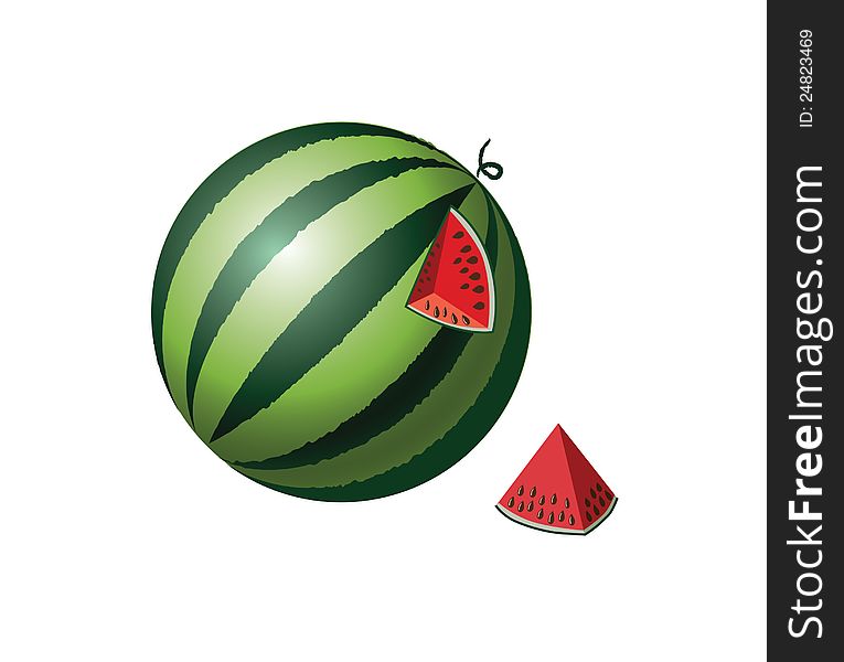 Watermelon. Vector illustration isolated on white