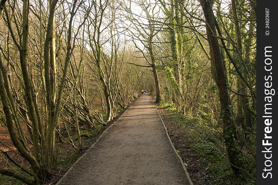 Joggers in the counteyside,running in the distance. Joggers in the counteyside,running in the distance